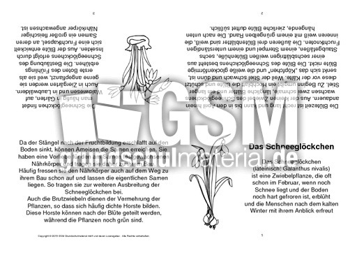 Faltbuch-Schneeglöckchen-Steckbrief-sw.pdf